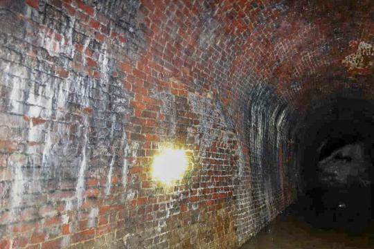 Sapperton Canal Tunnel - wall bulge