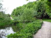 Infilling, Capel's Mill